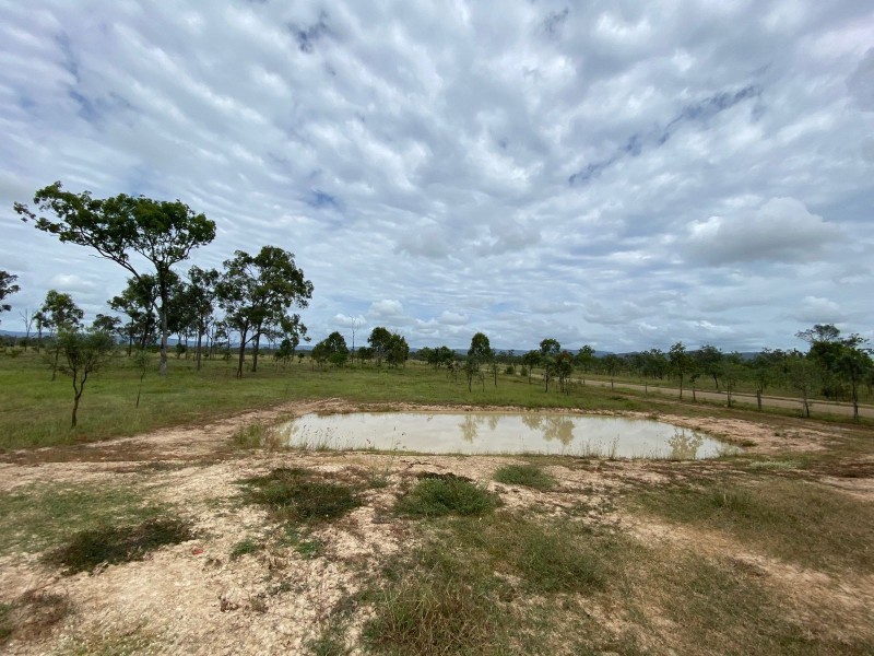 75 Nimmitabel Road, St Lawrence QLD 4707