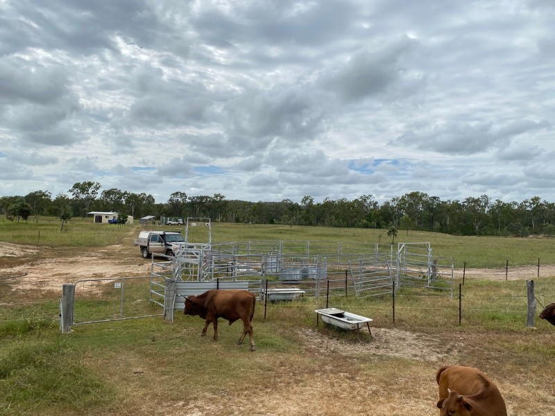 75 Nimmitabel Road, St Lawrence QLD 4707