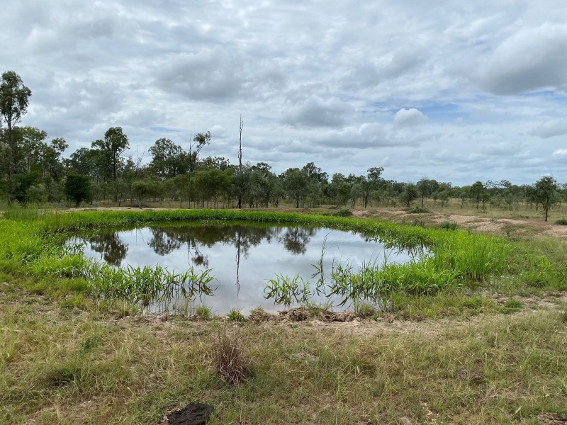 75 Nimmitabel Road, St Lawrence QLD 4707