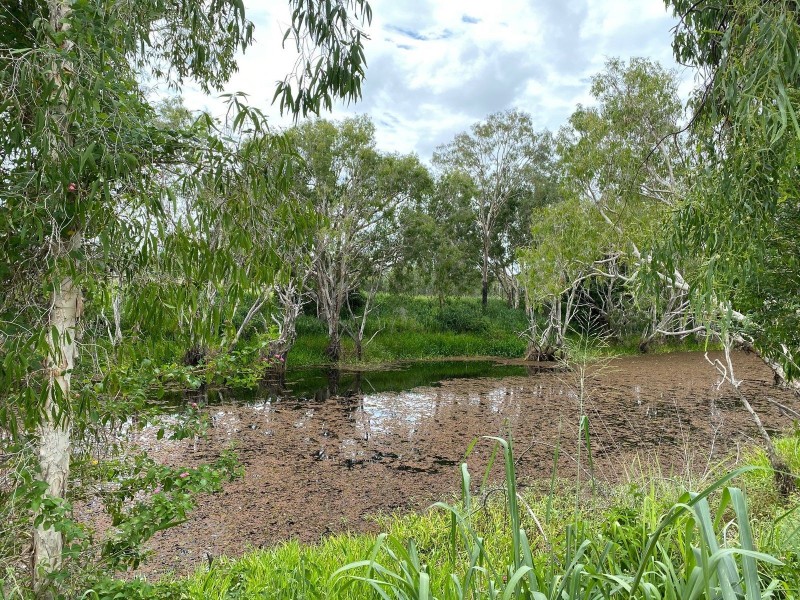 75 Nimmitabel Road, St Lawrence QLD 4707