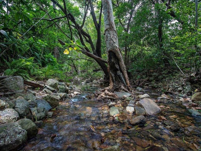 7 Mapley Court, Sarina QLD 4737