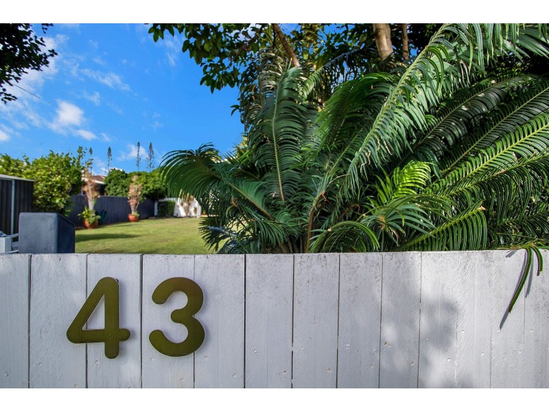 43 Zelma Street, Grasstree Beach QLD 4740