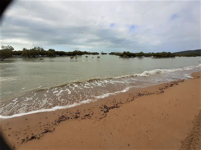 112 Colonial Drive, Clairview QLD 4741