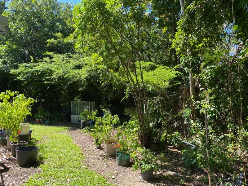 8 Maralyn Avenue, Grasstree Beach QLD 4740