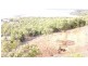 14 Galloway Drive, Ilbilbie QLD 4738