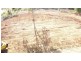 14 Galloway Drive, Ilbilbie QLD 4738