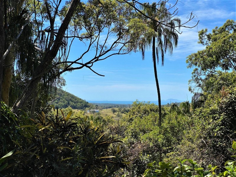 81 Starrs Road, Sarina QLD 4737