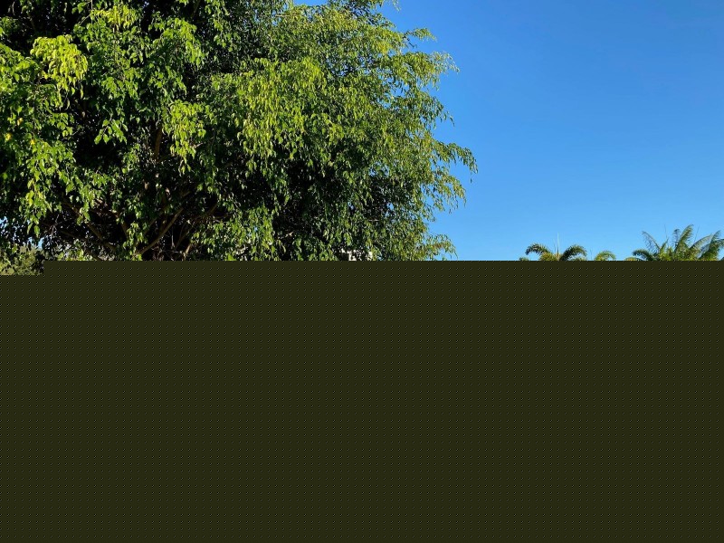 313 Grasstree Beach Road, Grasstree Beach QLD 4740