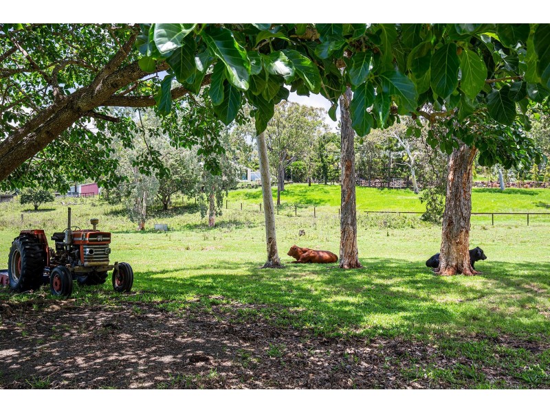 131 Andrew Fordyce Road, Mount Jukes QLD 4740