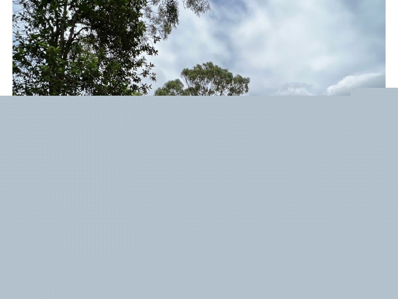 787 Greenhill Road, Ilbilbie QLD 4738