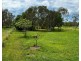 787 Greenhill Road, Ilbilbie QLD 4738
