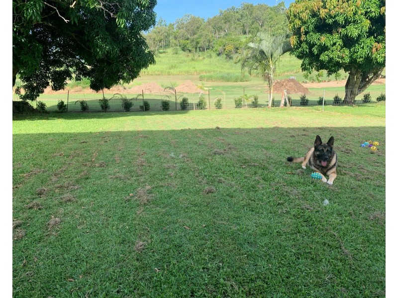 2162 Yakapari Seaforth Road, Seaforth QLD 4741