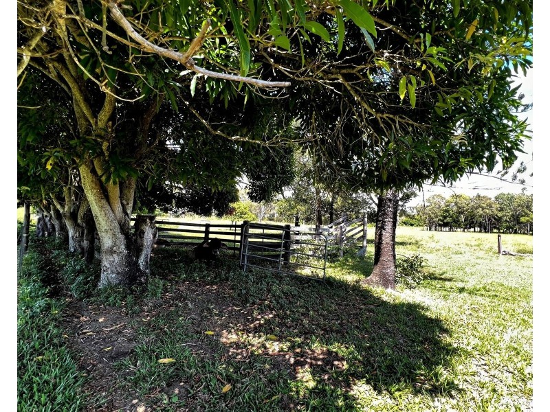 73 Droughtmaster Drive, Hay Point QLD 4740