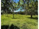 73 Droughtmaster Drive, Hay Point QLD 4740