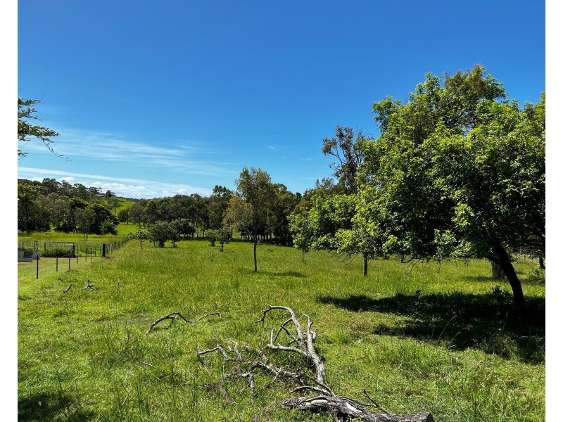 73 Droughtmaster Drive, Hay Point QLD 4740