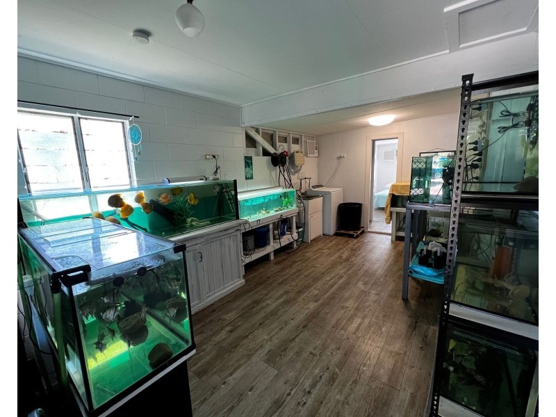 129 Zelma Street, Grasstree Beach QLD 4740