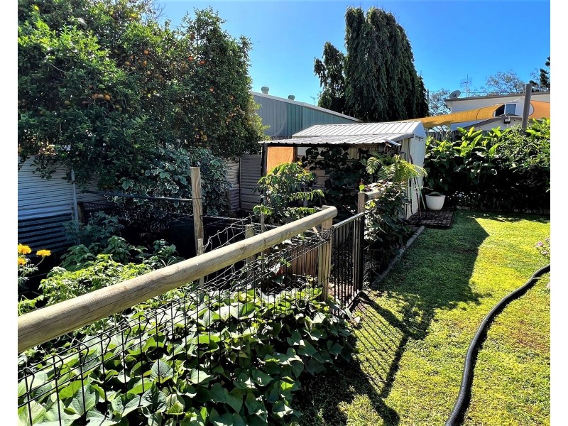 129 Zelma Street, Grasstree Beach QLD 4740