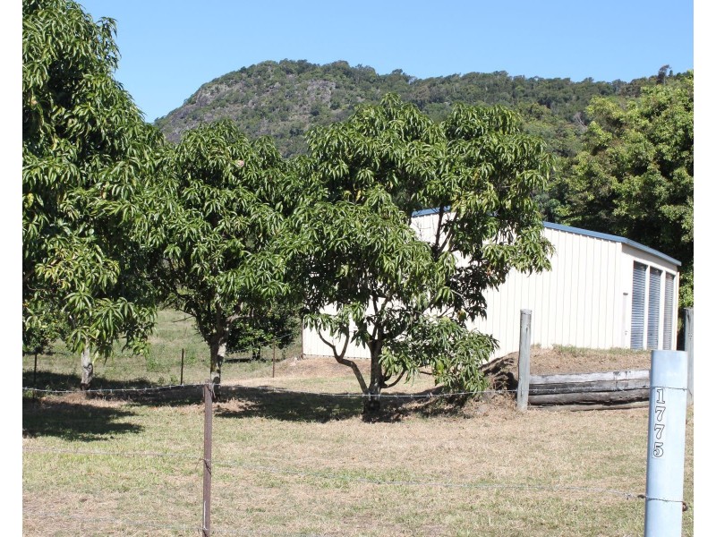 1775 Sarina Homebush Road, Oakenden QLD 4741