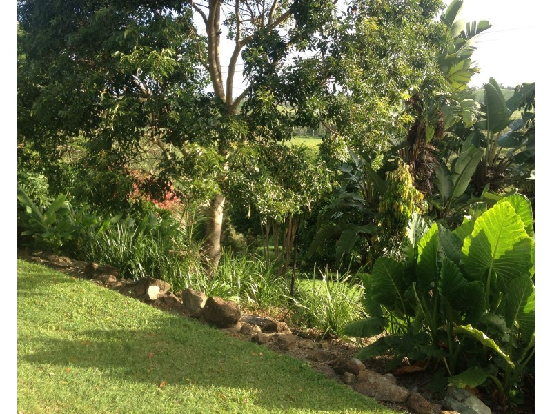 729 Grasstree Road, Grasstree Beach QLD 4740