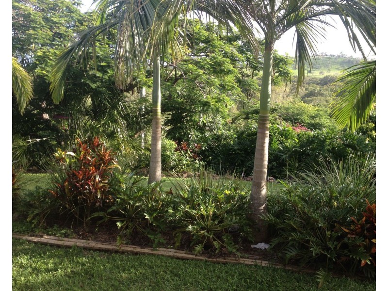 729 Grasstree Road, Grasstree Beach QLD 4740