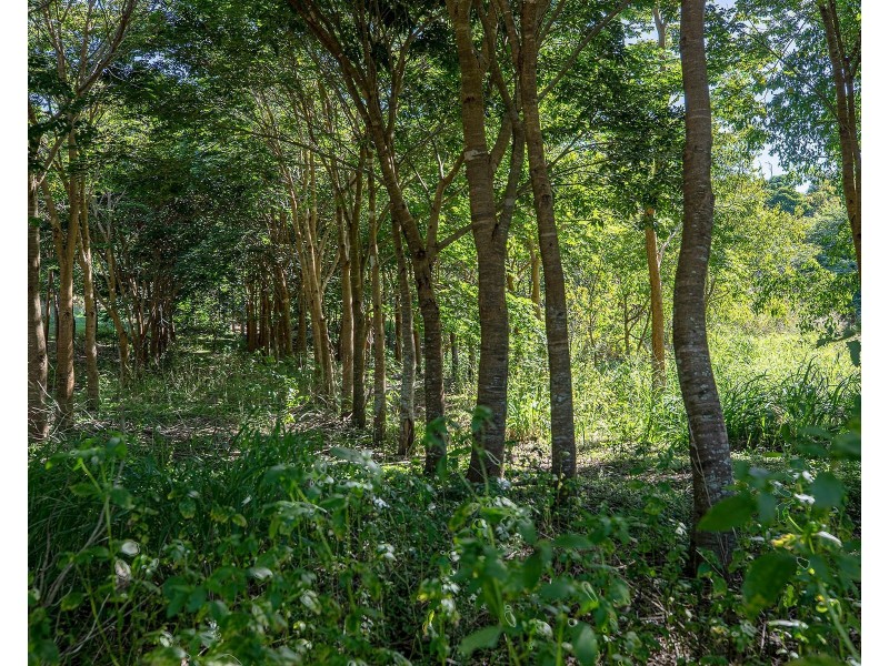 136 Zunkers Road, Hampden QLD 4741