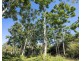 136 Zunkers Road, Hampden QLD 4741
