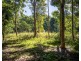 136 Zunkers Road, Hampden QLD 4741