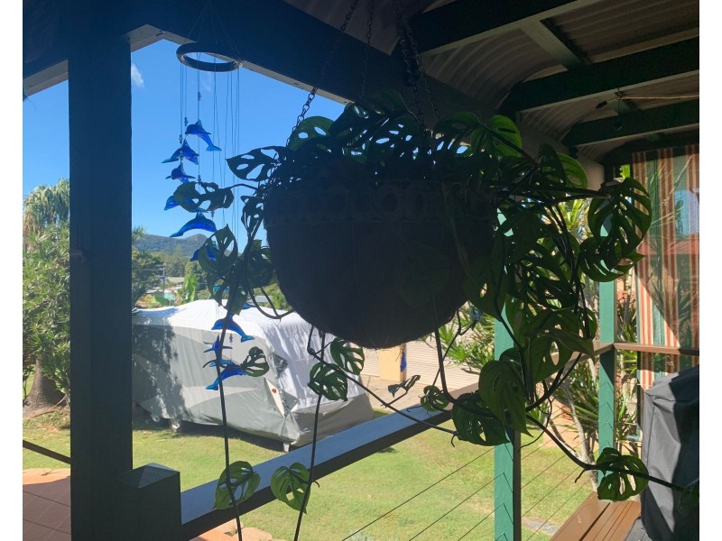 8 Sturgeon Street, Ball Bay QLD 4741