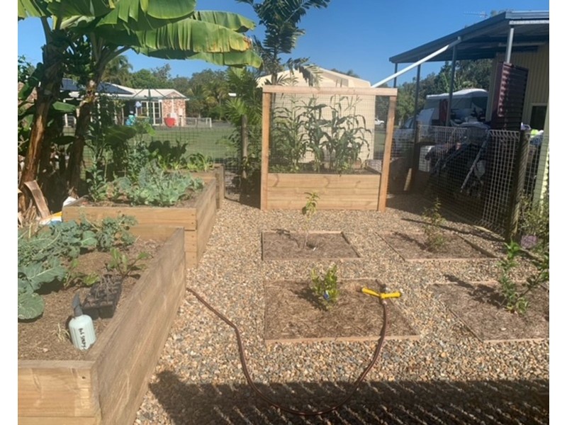 6 Johnson Avenue, Seaforth QLD 4741