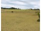 929 Grasstree Road, Sarina Beach QLD 4737