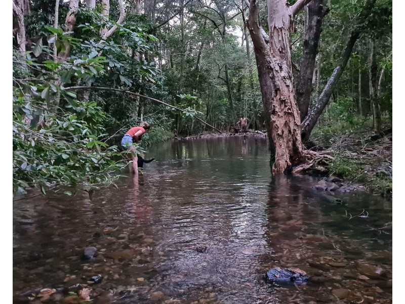 1623 Yakapari Seaforth Road, Mount Jukes QLD 4740