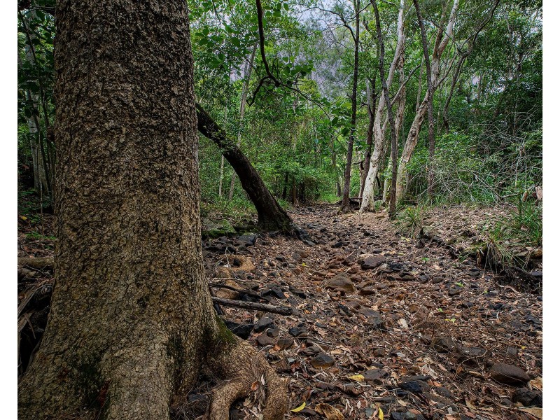 1623 Yakapari Seaforth Road, Mount Jukes QLD 4740