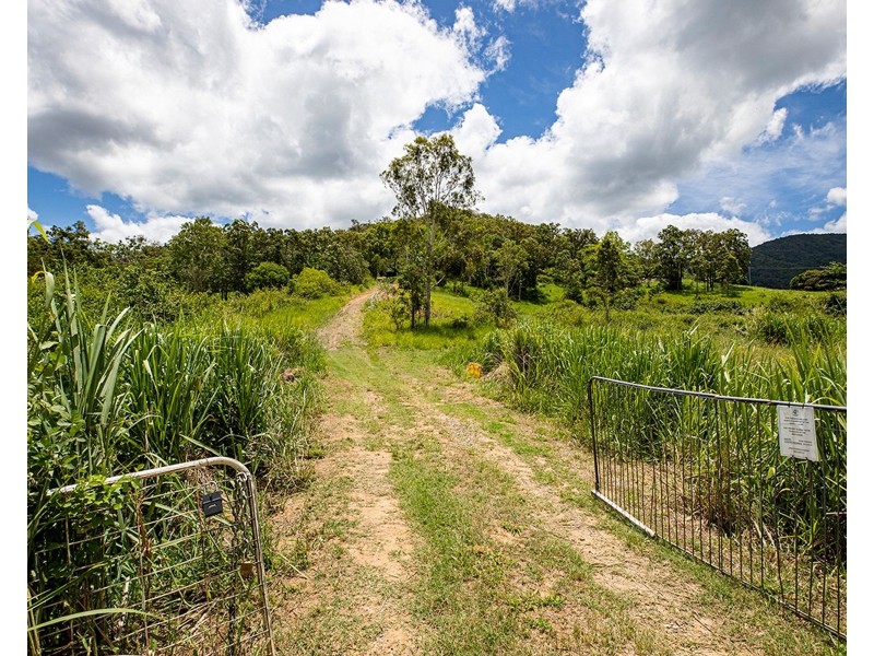 519 Middle Creek Road, Sarina QLD 4737