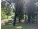 1749 Sarina Homebush Road, Sunnyside QLD 4737