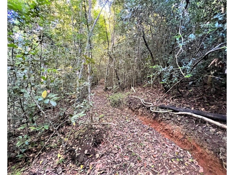 30 Rainforest Road, Sarina QLD 4737