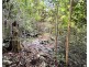 30 Rainforest Road, Sarina QLD 4737