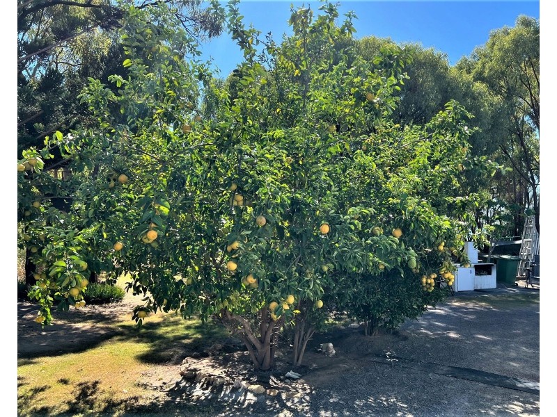 96 Colonial Drive, Clairview QLD 4741