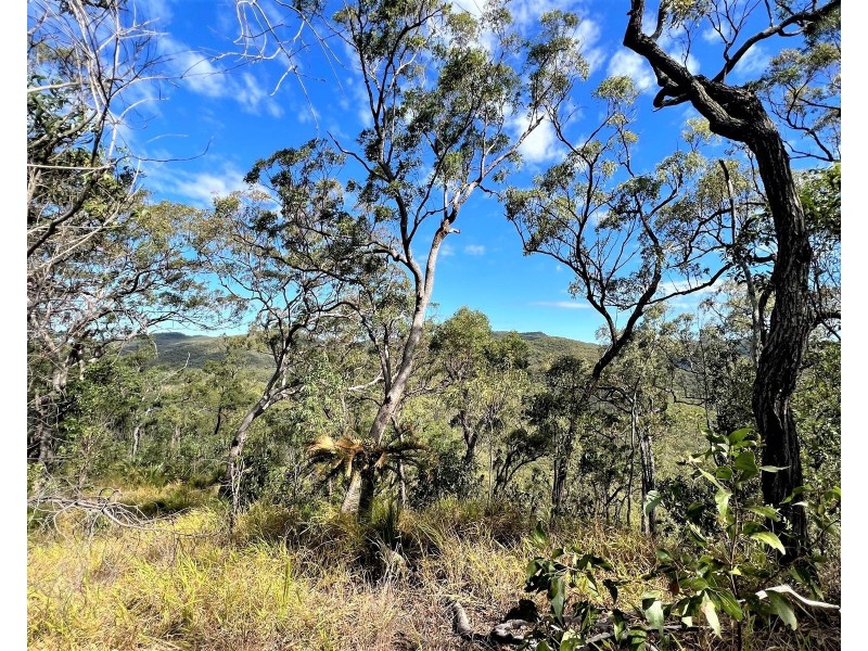 Lot 1 Bruce Highway, Clairview QLD 4741