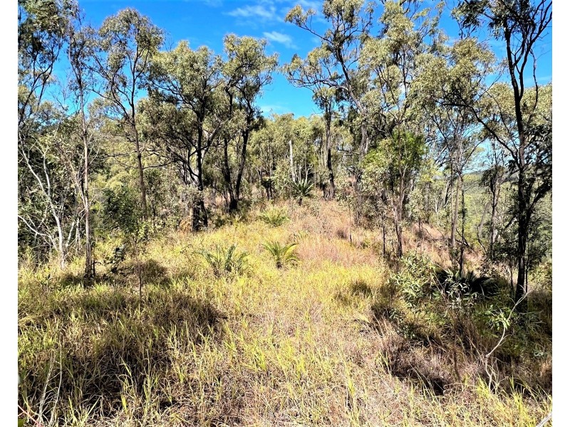 Lot 1 Bruce Highway, Clairview QLD 4741