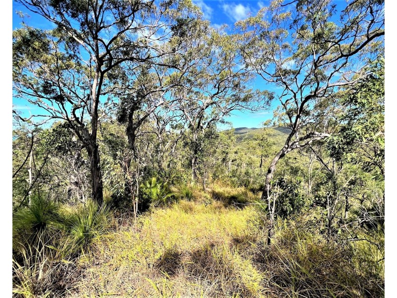 Lot 1 Bruce Highway, Clairview QLD 4741