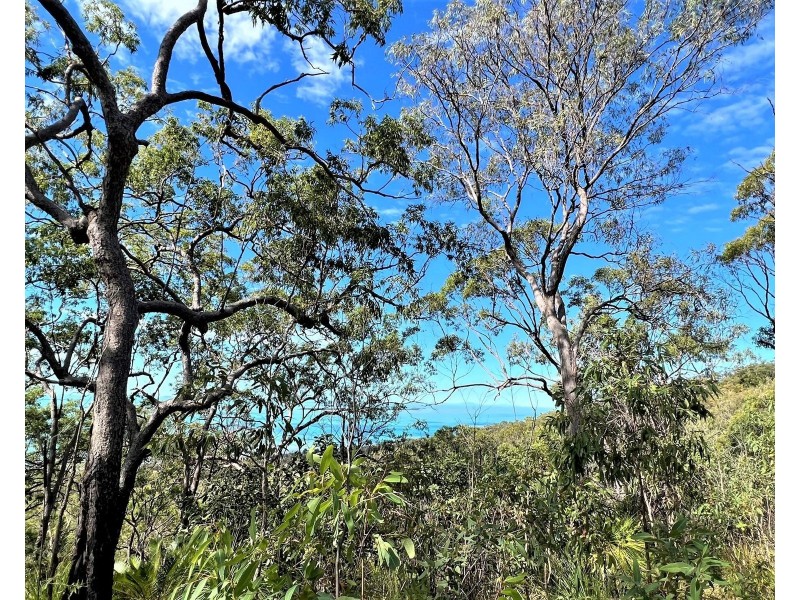 Lot 1 Bruce Highway, Clairview QLD 4741