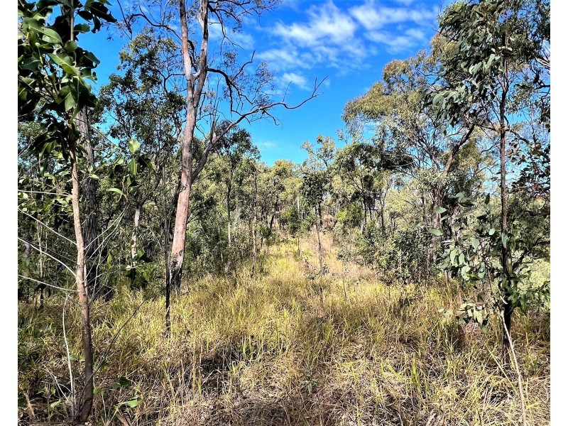 Lot 1 Bruce Highway, Clairview QLD 4741
