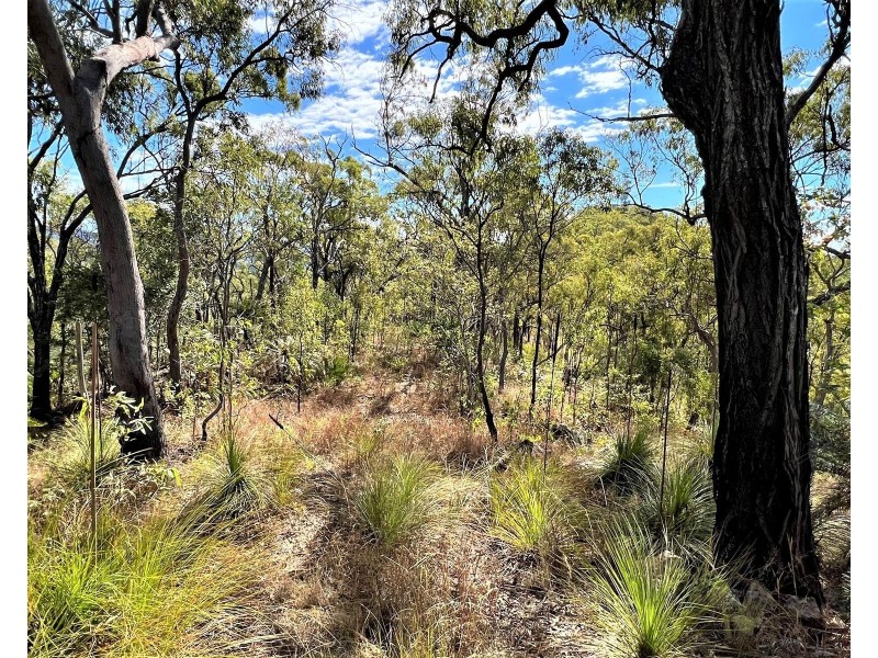 Lot 1 Bruce Highway, Clairview QLD 4741