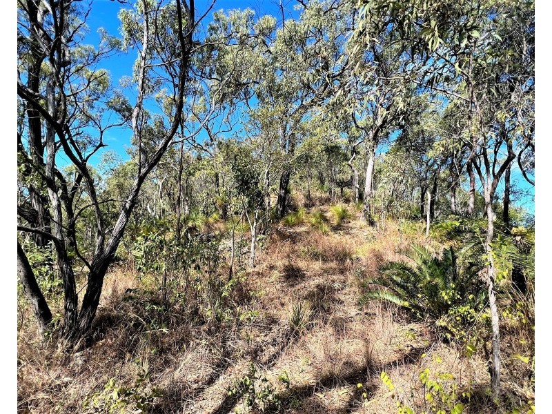 Lot 1 Bruce Highway, Clairview QLD 4741