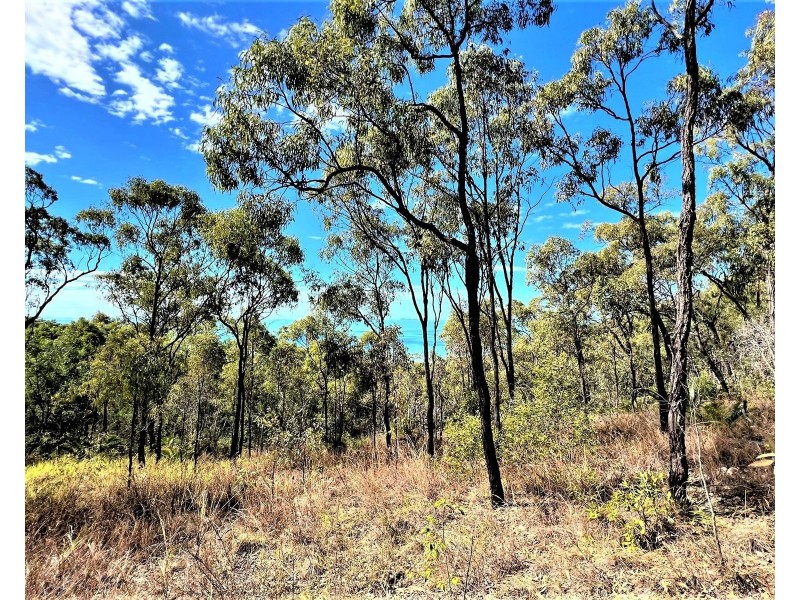Lot 1 Bruce Highway, Clairview QLD 4741