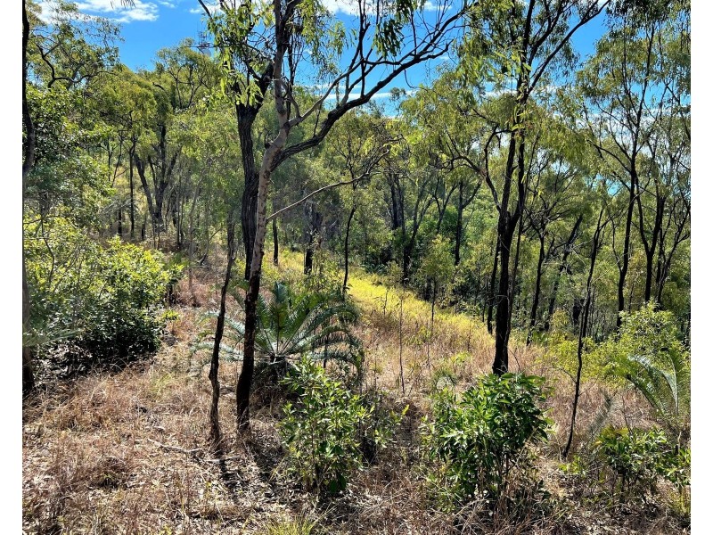 Lot 1 Bruce Highway, Clairview QLD 4741