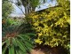 12 Kenilworth Street, South Mackay QLD 4740