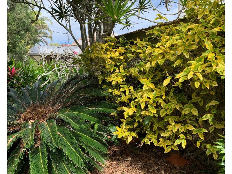 12 Kenilworth Street, South Mackay QLD 4740
