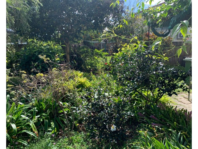 12 Kenilworth Street, South Mackay QLD 4740
