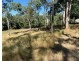 87 Andrew Fordyce Road, Mount Jukes QLD 4740
